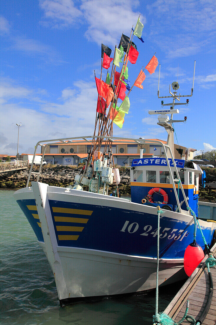 France,Nouvelle Aquitaine,Charente Maritime (17),Oleron island,Saint Pierre d'Oleron,la Cotiniere fishing harbour