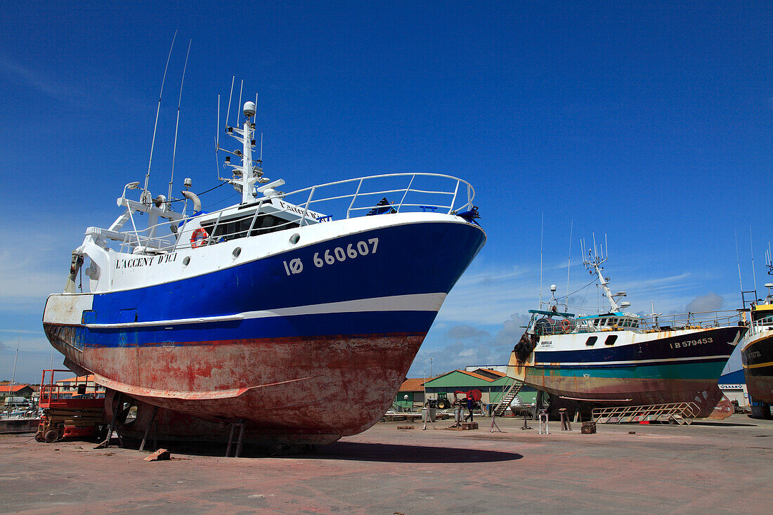 France,Nouvelle Aquitaine,Charente Maritime (17),Oleron island,Saint Pierre d'Oleron,la Cotiniere fishing harbour