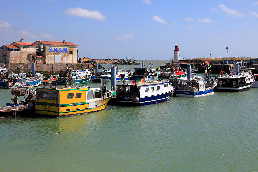 France,Nouvelle Aquitaine,Charente Maritime (17),Oleron island,Saint Pierre d'Oleron,la Cotiniere fishing harbour