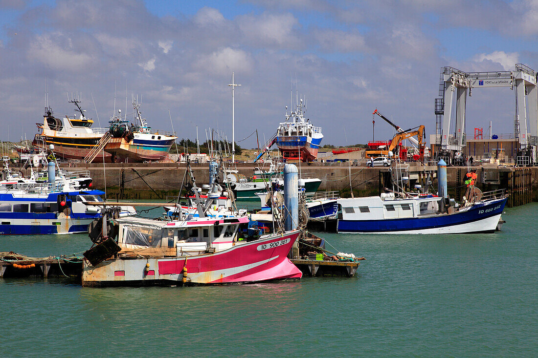 France,Nouvelle Aquitaine,Charente Maritime (17),Oleron island,Saint Pierre d'Oleron,la Cotiniere fishing harbour