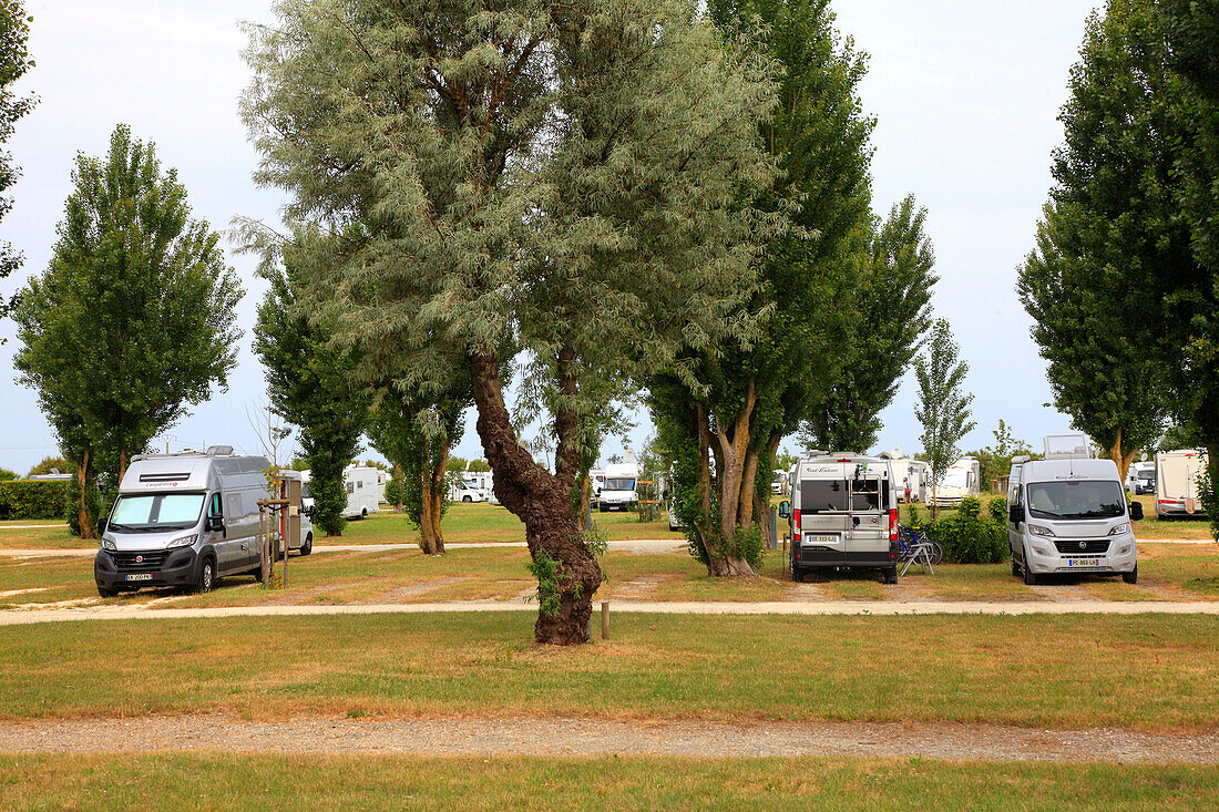 France,Nouvelle Aquitaine,Charente Maritime (17),Oleron island,Saint Denis d'Oleron,camper area