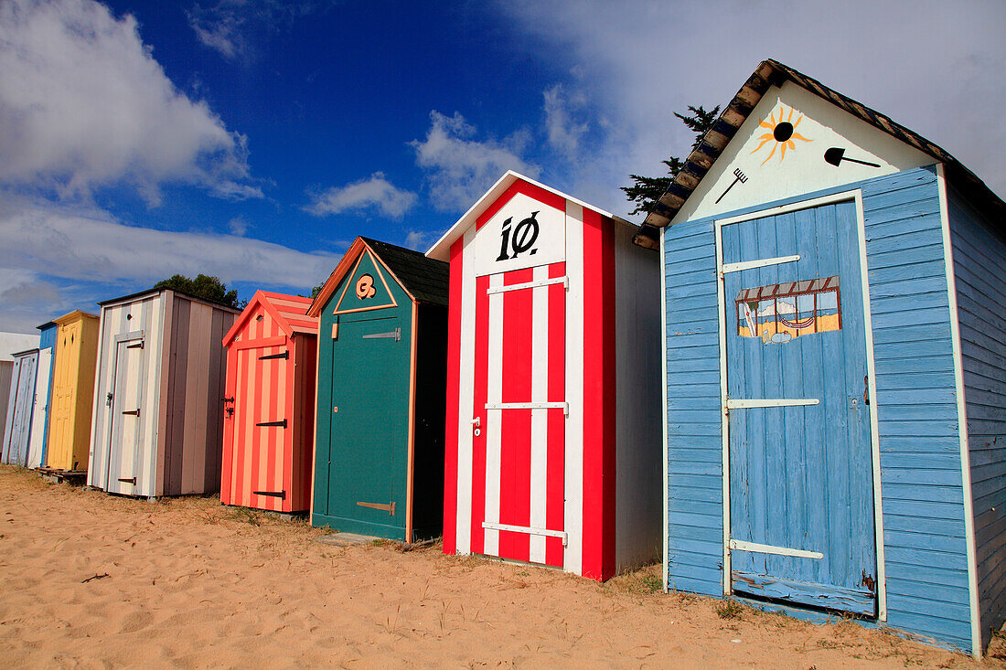 France,Nouvelle Aquitaine,Charente Maritime (17),Oleron island,Saint Denis d'Oleron,la Boirie beach