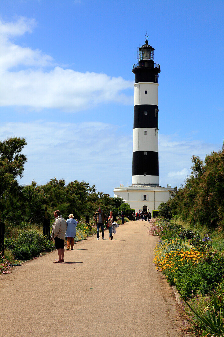 France,Nouvelle Aquitaine,Charente Maritime (17),Oleron island,Saint denis d'Oleron,chassiron lighthouse