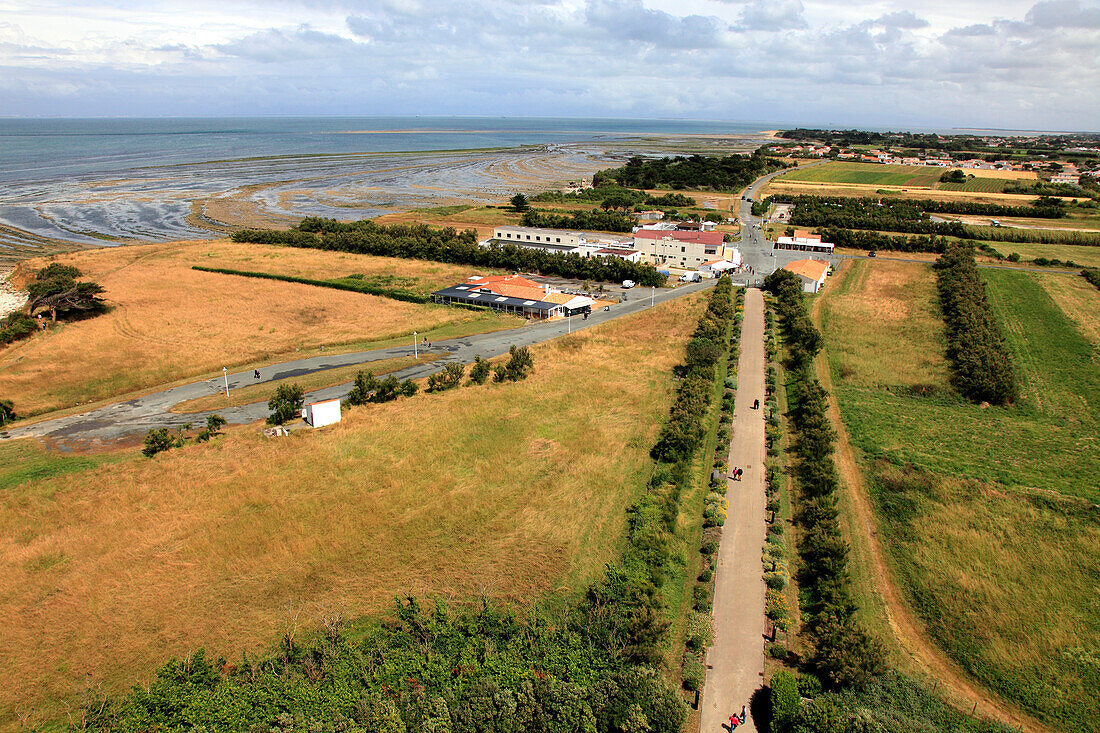 France,Nouvelle Aquitaine,Charente Maritime (17),Oleron island,Saint denis d'Oleron,chassiron lighthouse