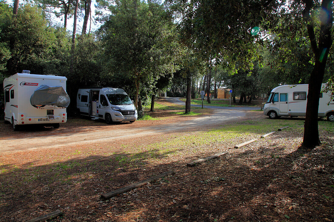 France,Nouvelle Aquitaine,Charente Maritime (17),Oleron island,Grand village plage,camper area