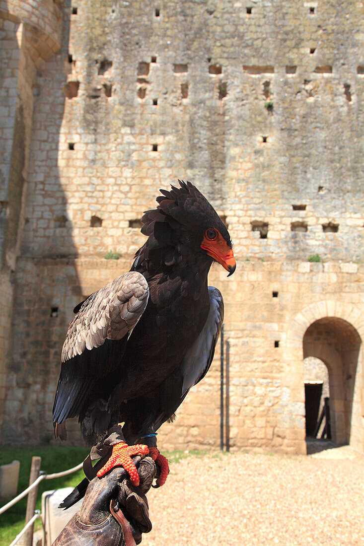 Frankreich,Nouvelle Aquitaine,Vienne department,Chauvigny,medieval city,Eveques castle