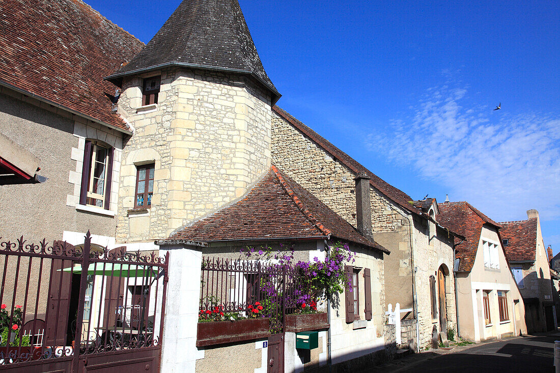 France,Nouvelle Aquitaine,Vienne department,La Roche Posay