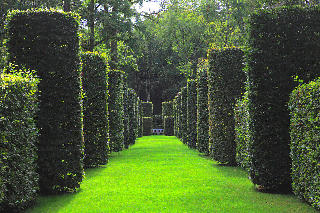 France,Centre Val de Loire,Cher department,Jalognes,Pesselieres garden and castle