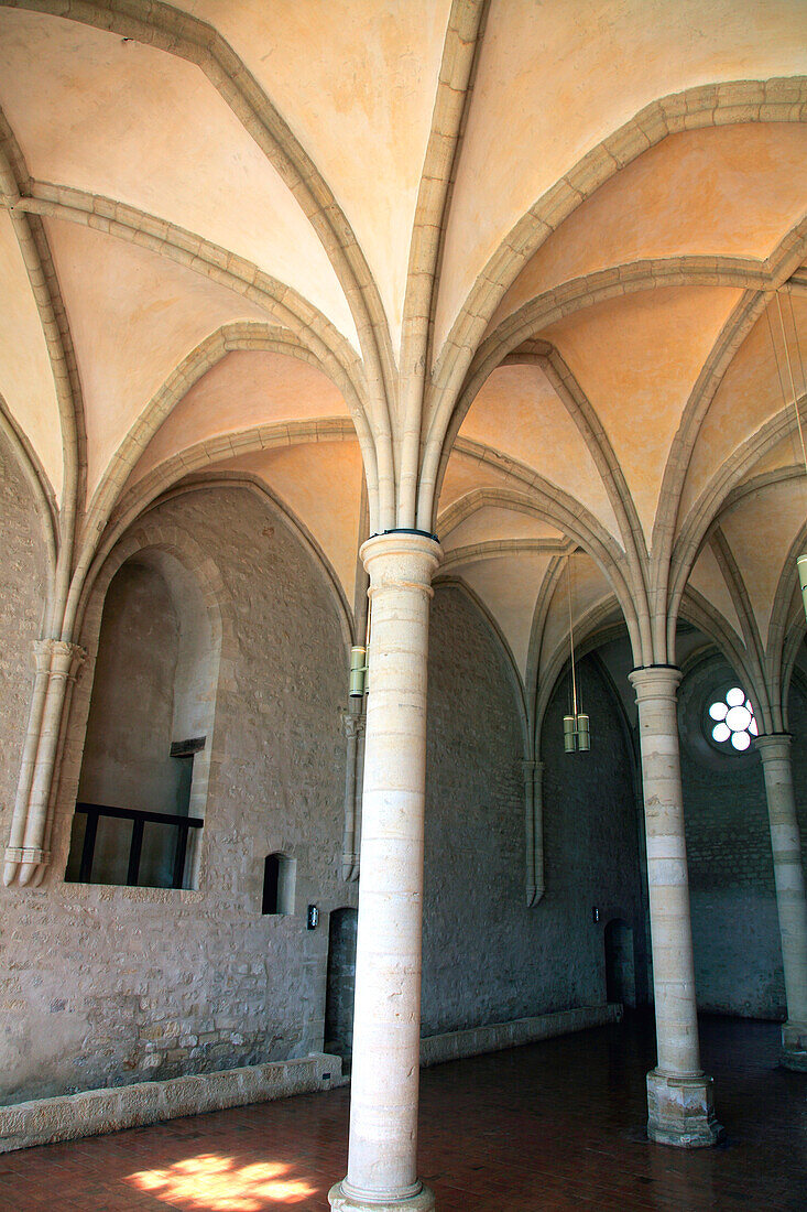 France,Centre Val de Loire,Cher department,Bruere Allichamps,Noirlac abbey