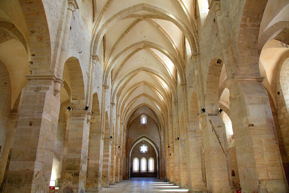 France,Centre Val de Loire,Cher department,Bruere Allichamps,Noirlac abbey,the church