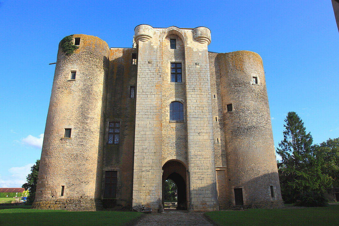 France,Centre Val de Loire,Cher department,Sagonne castle (Sancoins area)