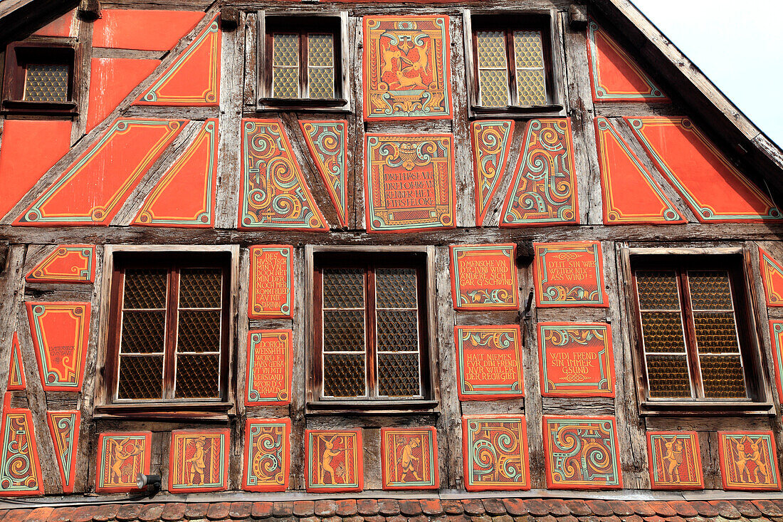 France,Grand-Est,Bas Rhin (67) Alsace,Val de Moder,Pfaffenhoffen