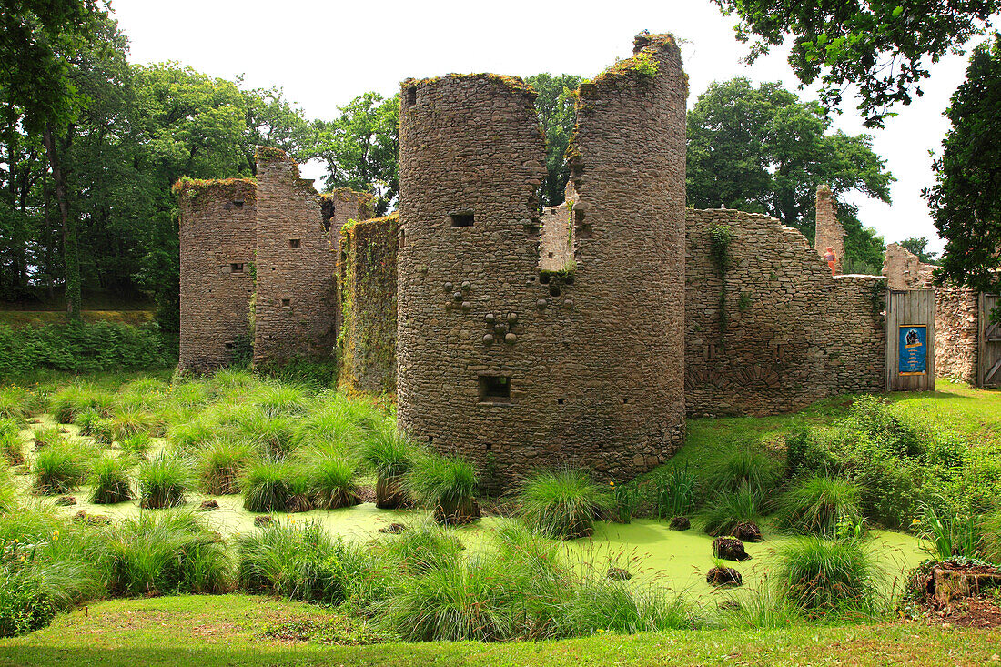 France,Pays de la Loire,Loire Atlantique (44),Natural parc of Briere,Herbignac,Ranrouet castle,