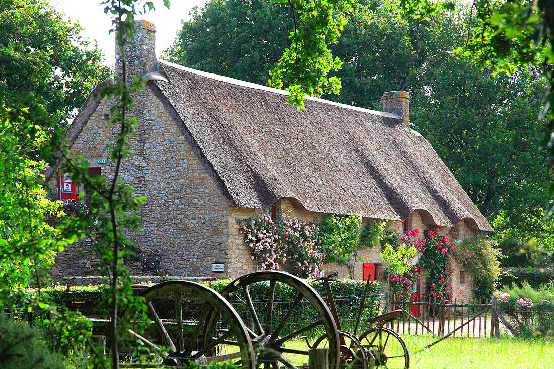 France,Pays de la Loire,Loire Atlantique (44),Natural parc of Briere,Saint Lyphard,Kerhinet village,(Unesco world heritage)