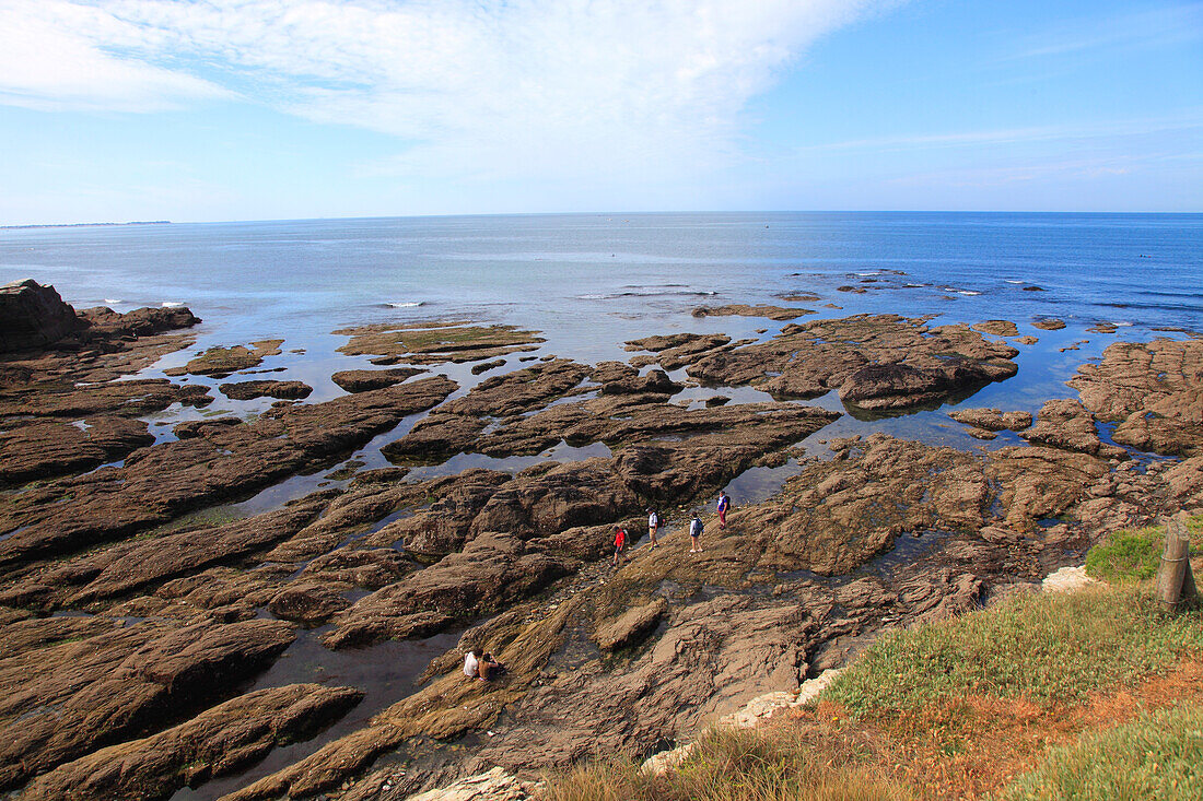 France,Pays de la Loire,Loire Atlantique (44),Piriac sur Mer,Castelli point