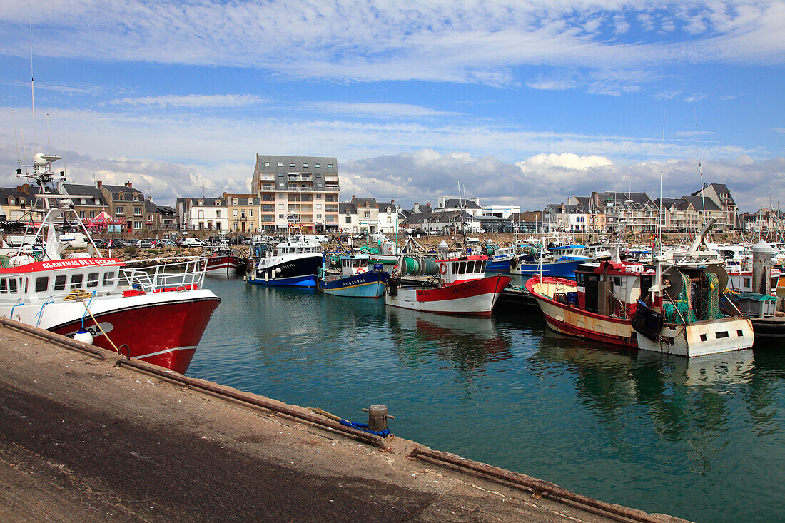 France,Pays de la Loire,Loire Atlantique (44),La Turballe,fishing harbour