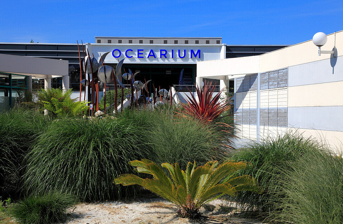 France,Pays de la Loire,Loire Atlantique (44),Le Croisic,ocearium