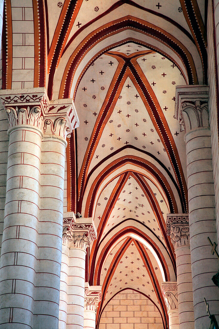 Frankreich,Nouvelle Aquitaine,Vienne department,Chauvigny,mittelalterliche Stadt,Saint Pierre collegiate church