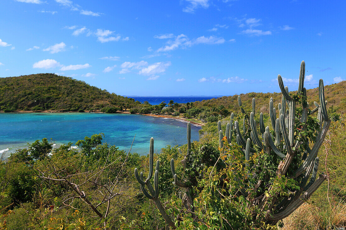 USA,Porto rico. Culebra Island.