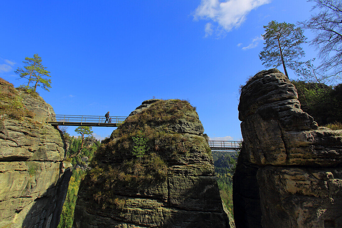 Deutschland,Sachsen,Sächsische Schweiz,Sandsteinfelsen