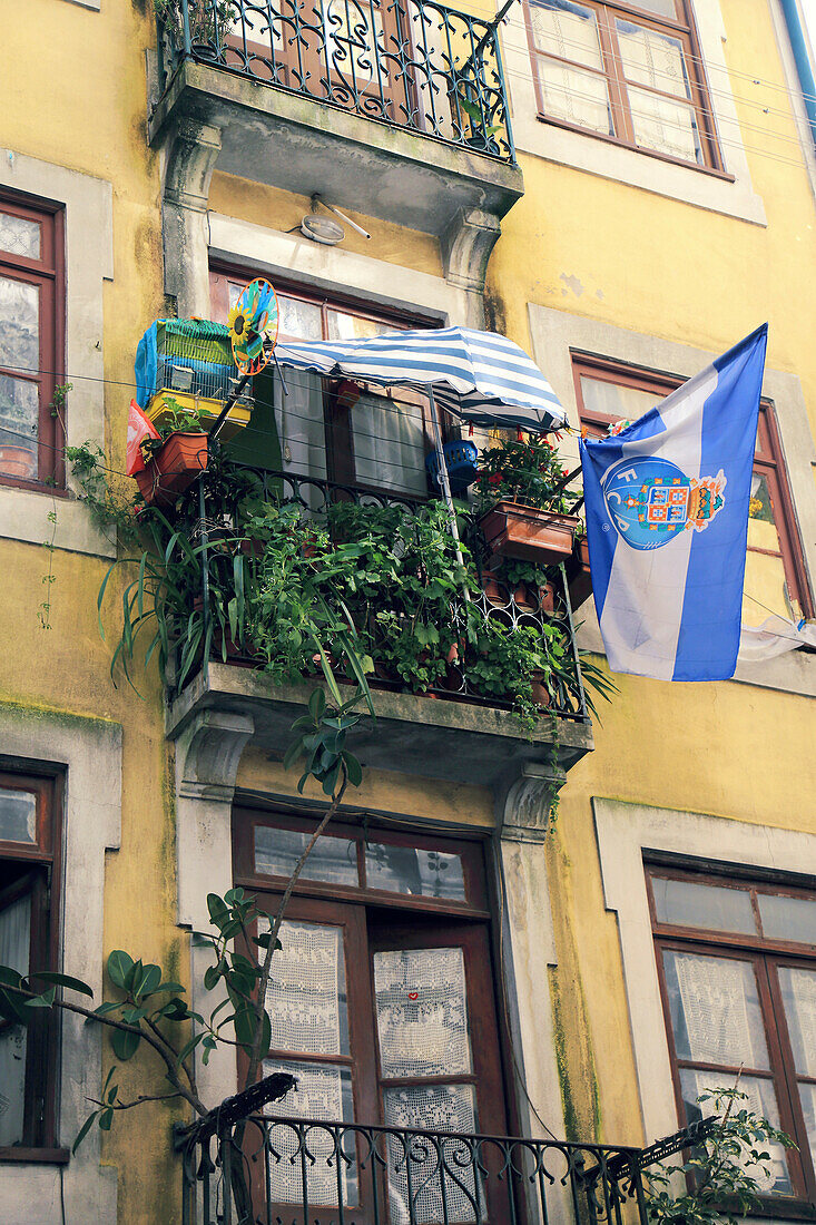 Europe,Portugal,Porto. decorated balcony by FC Porto fan