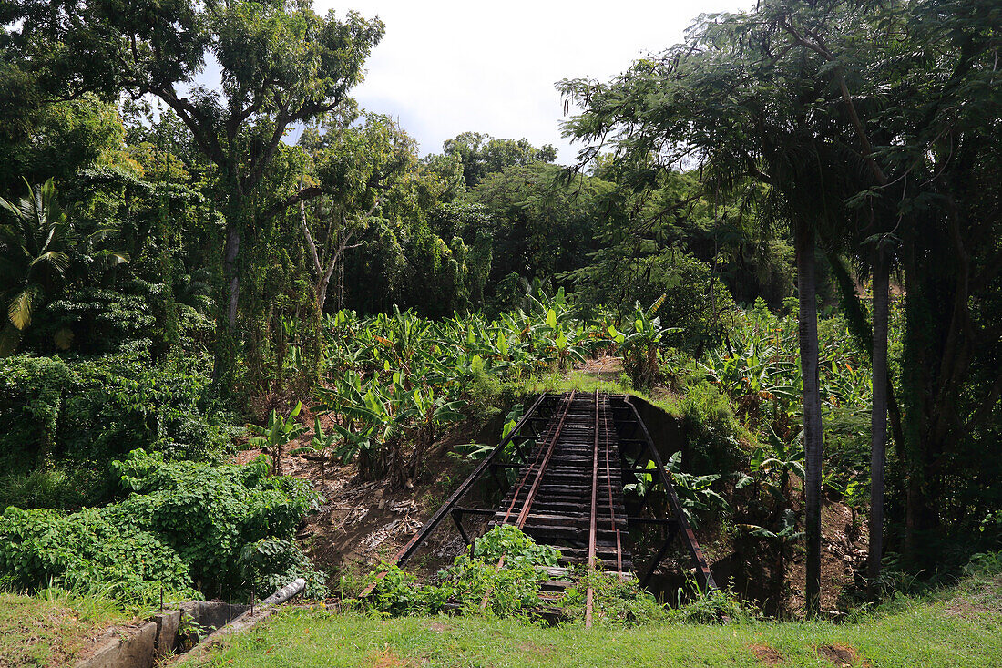 Britisch-Westindien, St. Kitts und Nevis, St. Kitts. Wingfield Estate Zuckerplantage. Eisenbahn