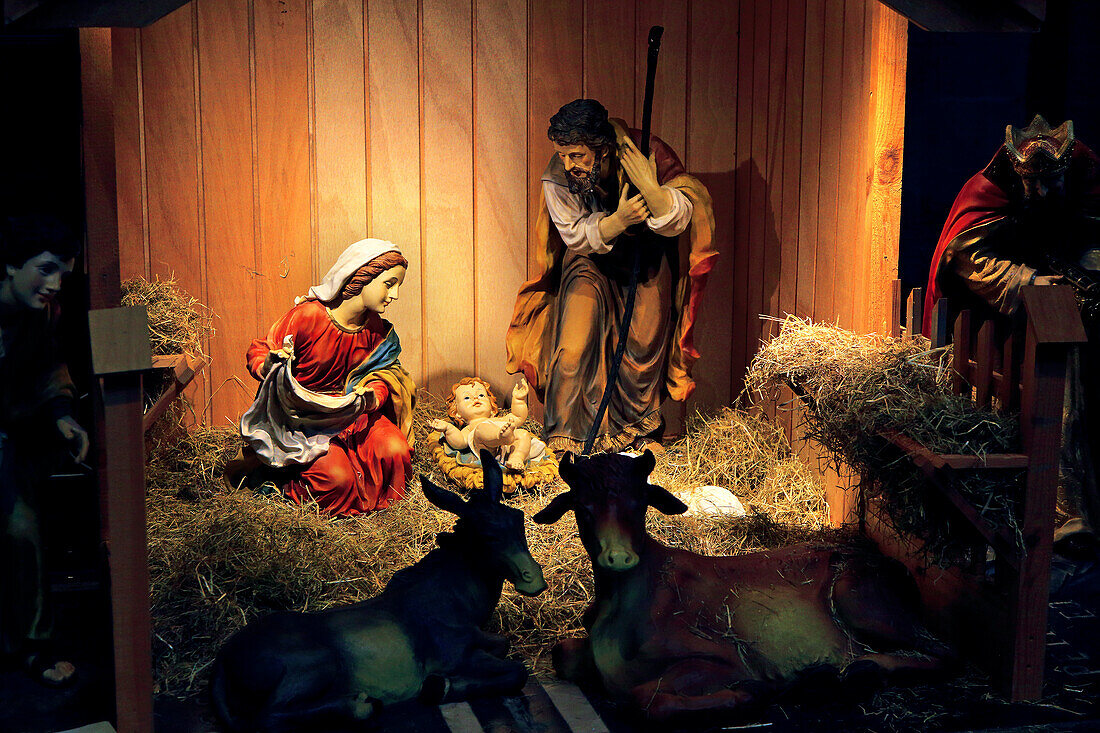 Christmas crib