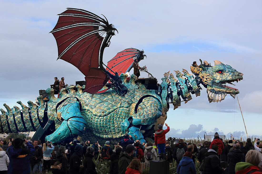 Drache von Calais, Frankreich