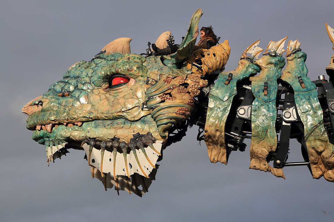 Drache von Calais, Frankreich