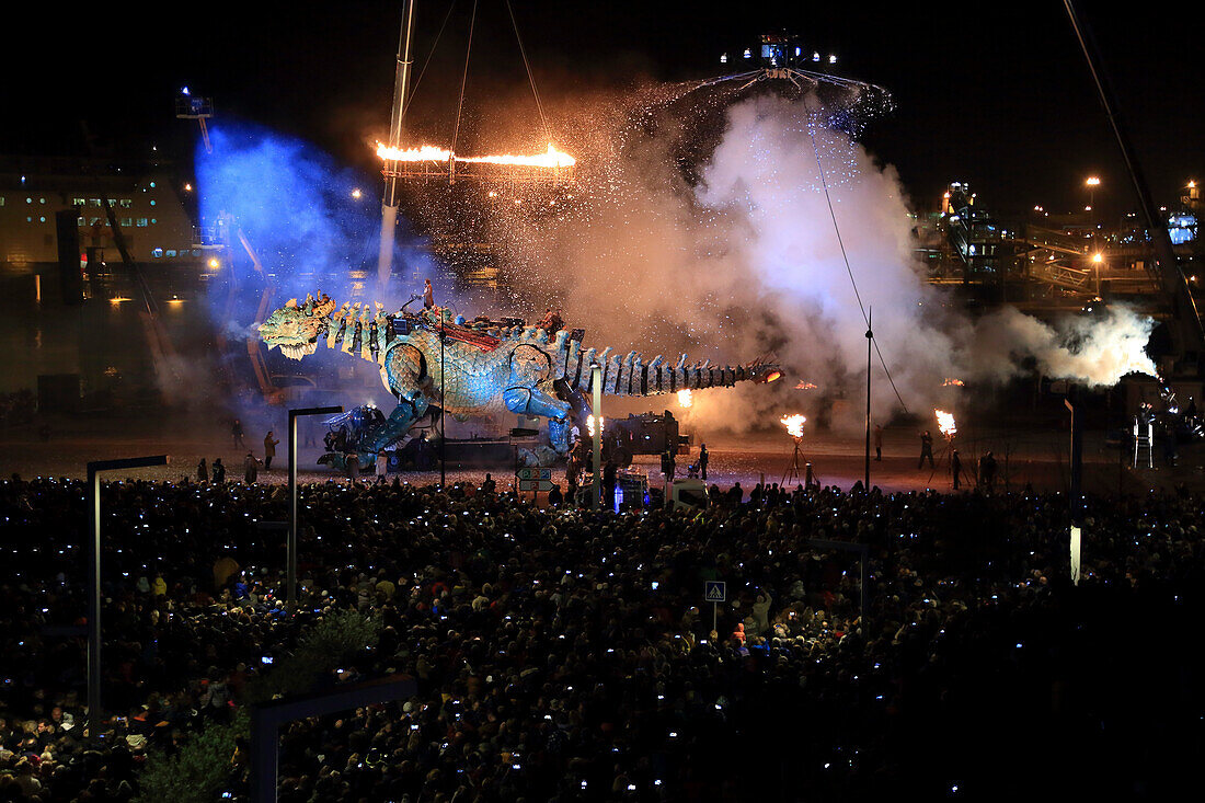 Drache von Calais, Frankreich