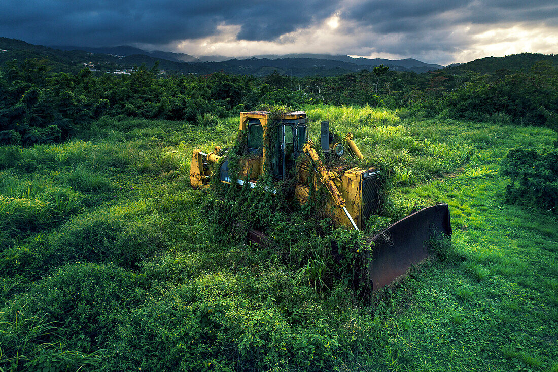 Bulldozer verlassen und von der Vegetation angegriffen.