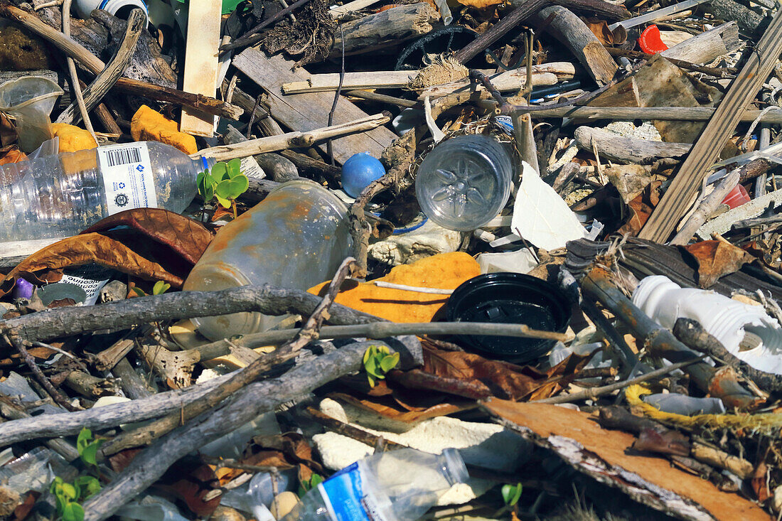 Rubbish on the edge of the beach.