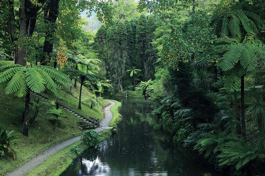 Sao Miguel Island,Azores,Portugal. Furnas,Parque Terra Nostra