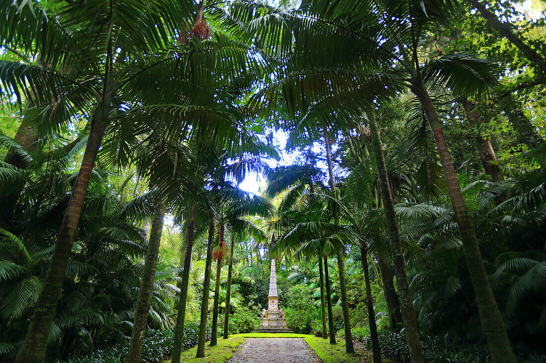 Sao Miguel Insel,Azoren,Portugal. Furnas,Parque Terra Nostra