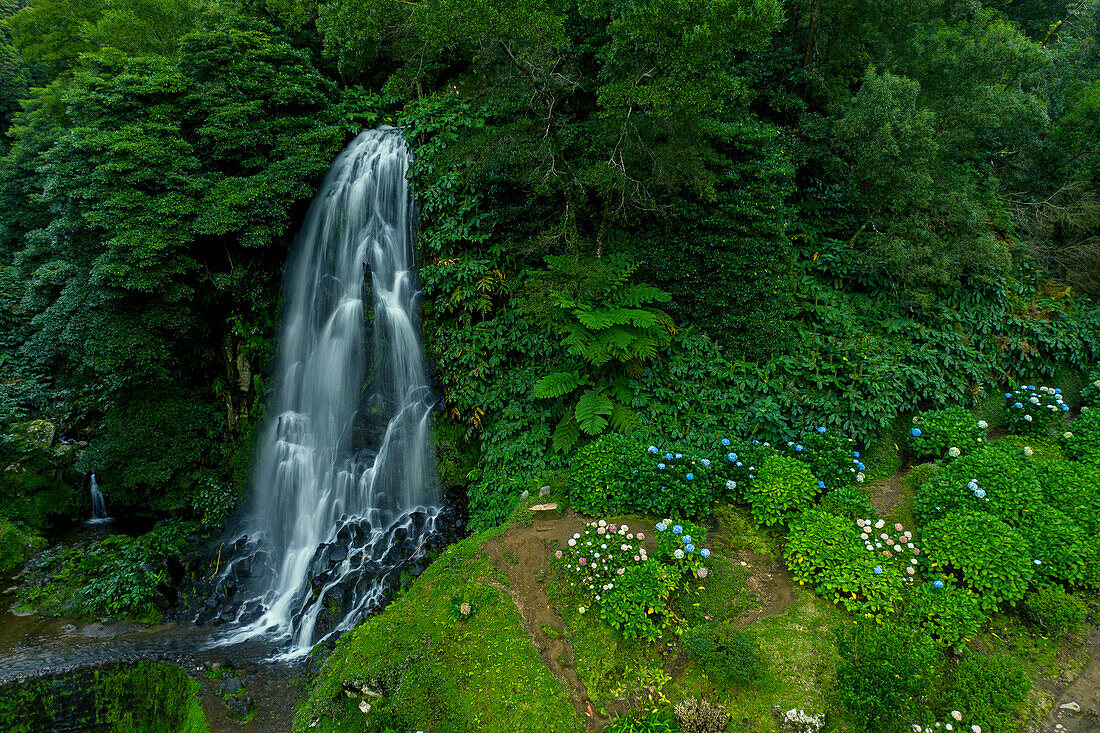 Insel Sao Miguel, Azoren, Portugal. Parque Natural dos Caldeirões