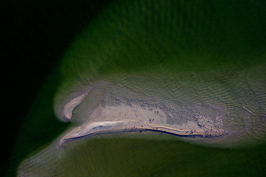 Usa,Florida. Collier county. Marco Island. Ten Thousand Islands