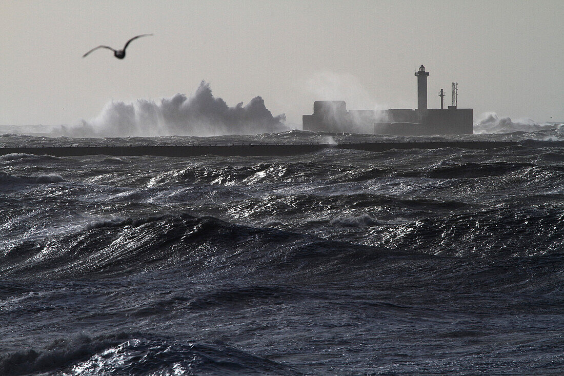 Frankreich,Hauts de France,Pas de Calais,Opalküste,Sturm Ciara. Boulogne sur Mer