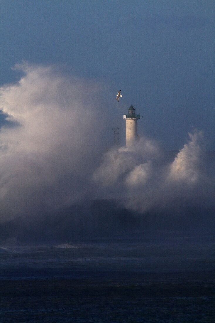 Frankreich,Hauts de France,Pas de Calais,Opalküste,Sturm Ciara. Boulogne sur Mer