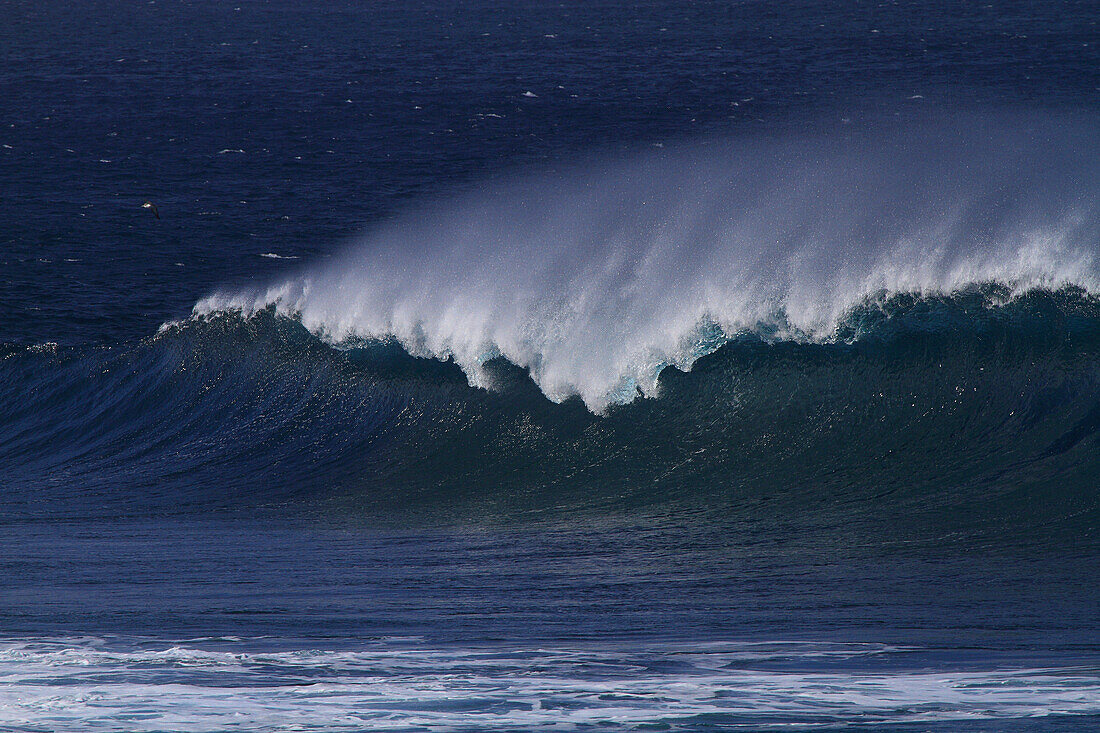 Insel Sao Miguel, Azoren, Portugal. Ribeira Grande. Welle