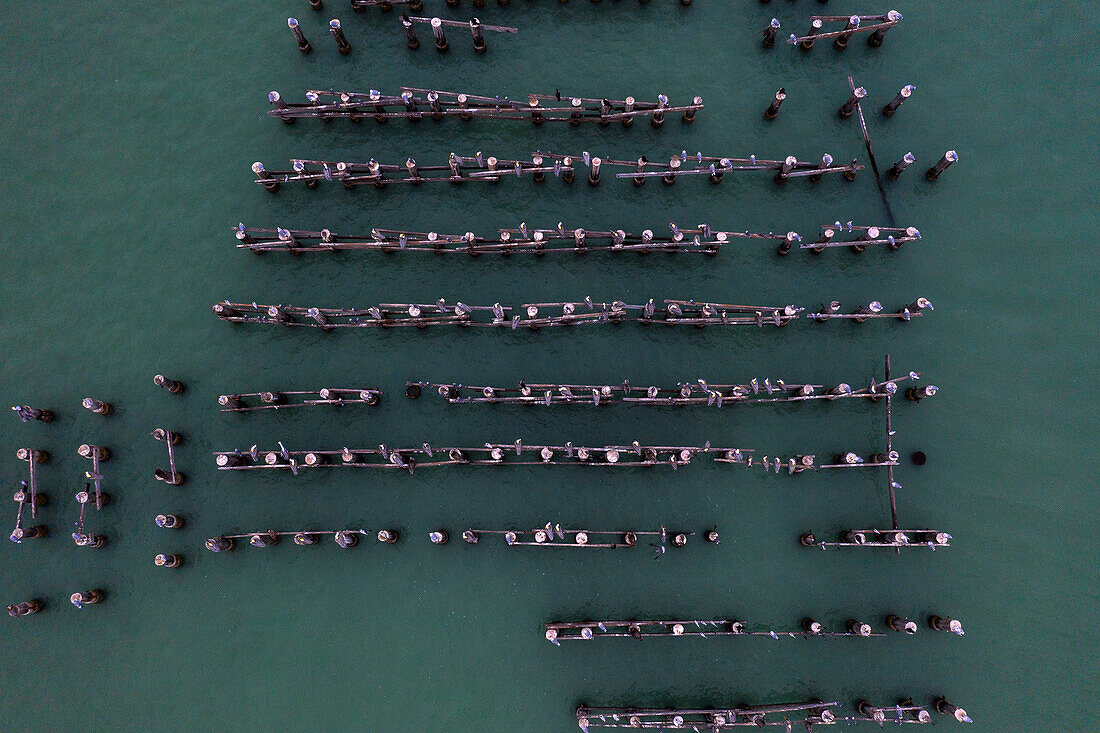 Usa,Florida. Gasparilla Island. Boca Grande. Ruins of an old pier