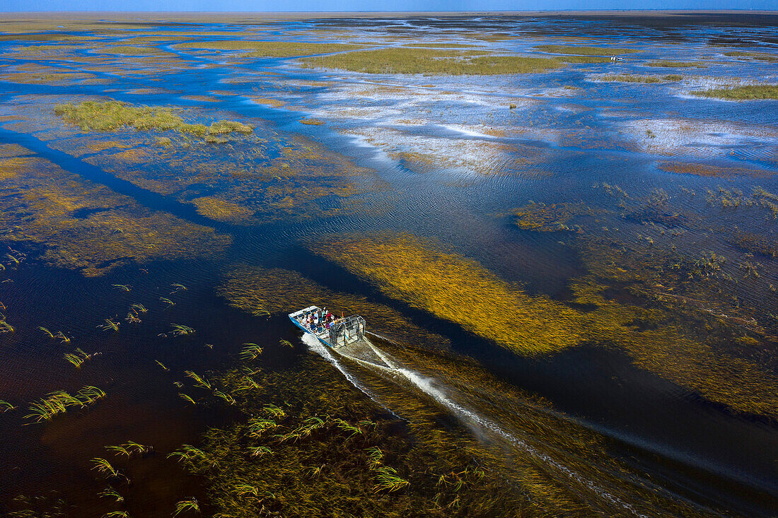 Usa,Florida. Everglades. Airboat. Cypress trees and swamp