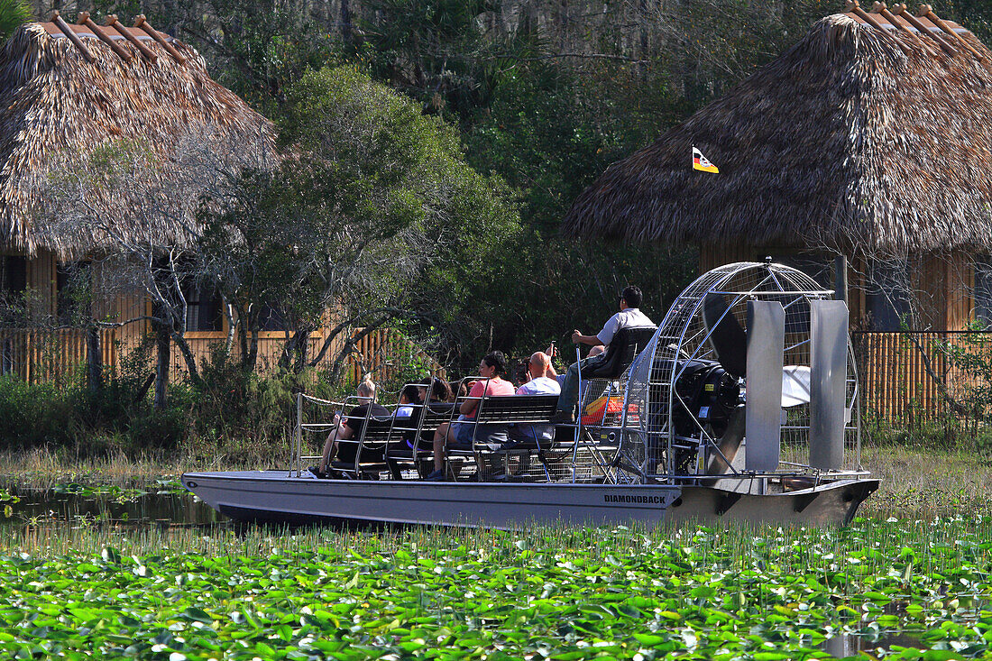 USA, Florida. Everglades. Luftkissenboot. Zypressen und Sumpf