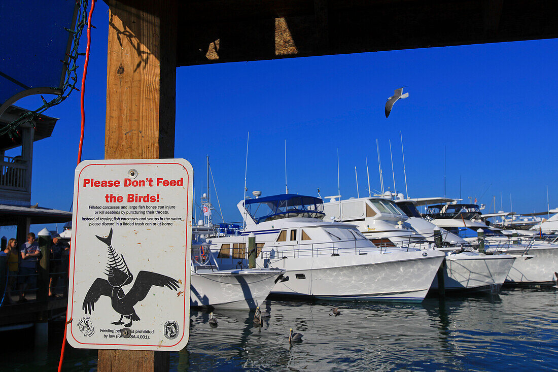 Usa,Florida. Key West. No feed bird sign