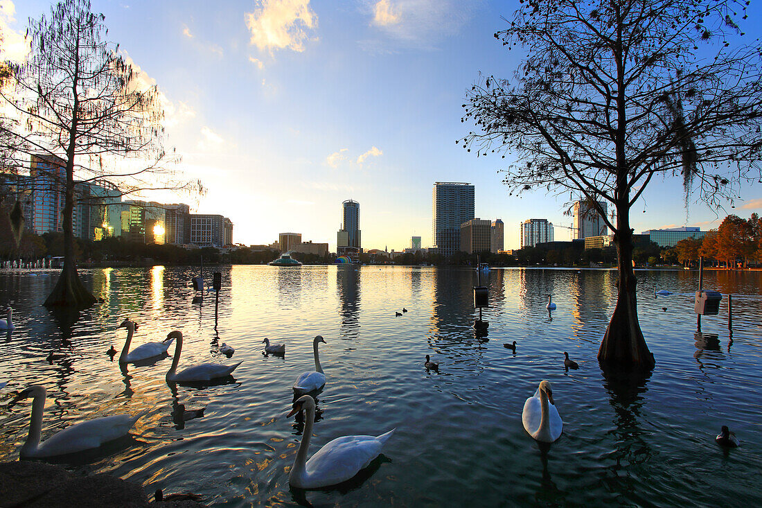 Vereinigte Staaten, Floride, Orlando. See Eola Park