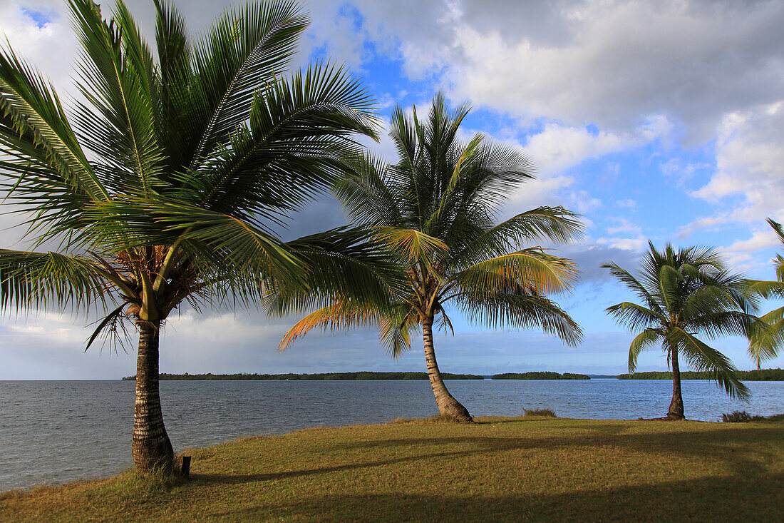 Frankreich,Französische Antillen,Guadeloupe. Morne a l'eau. Babin-Bucht