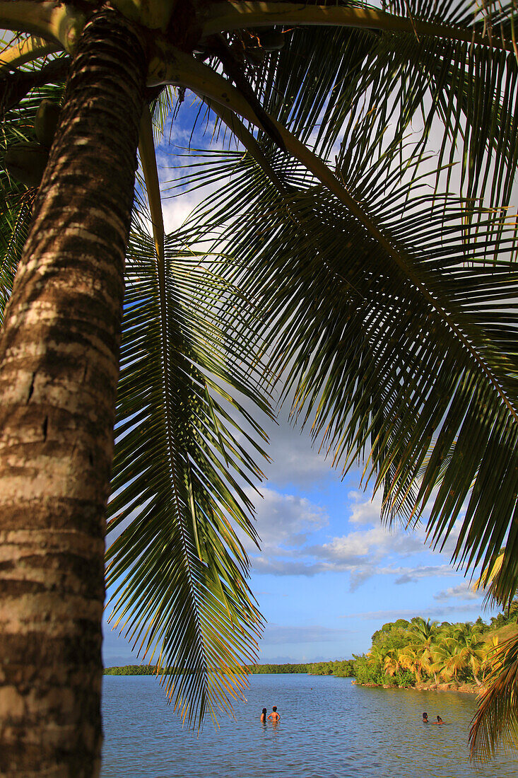 Frankreich,Französische Antillen,Guadeloupe. Morne a l'eau. Babin-Bucht