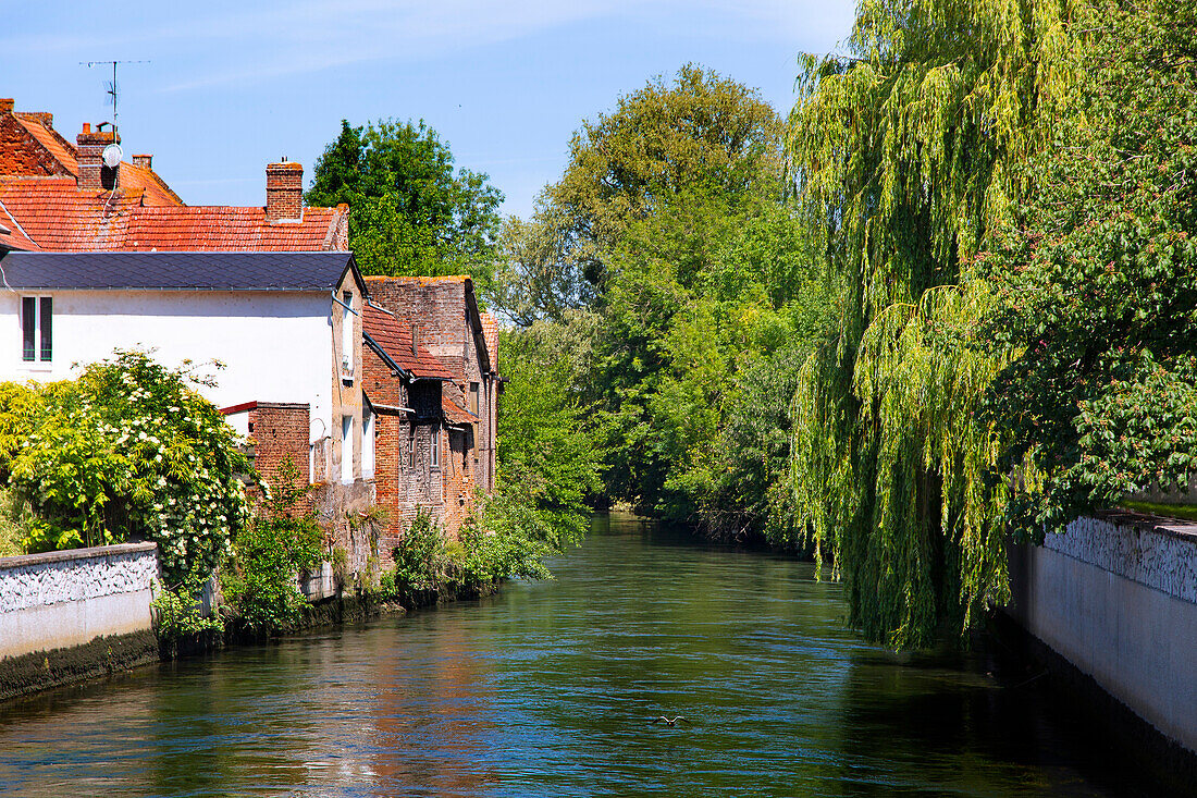 France,Hauts de France,Somme. Abbeville,center city. Somme river