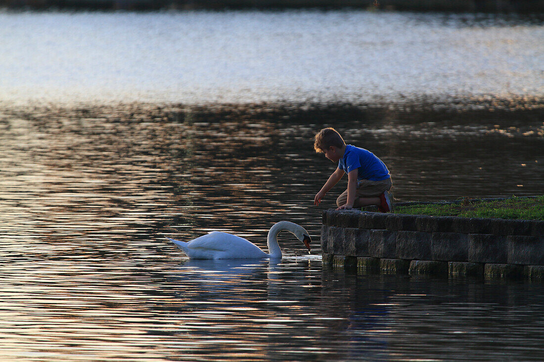 Vereinigte Staaten, Floride, Orlando. See Eola Park