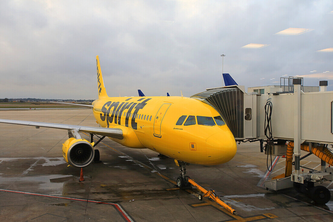 Usa,Floride,Orlando. Internationaler Flughafen. Spirit Airlines Flugzeuge