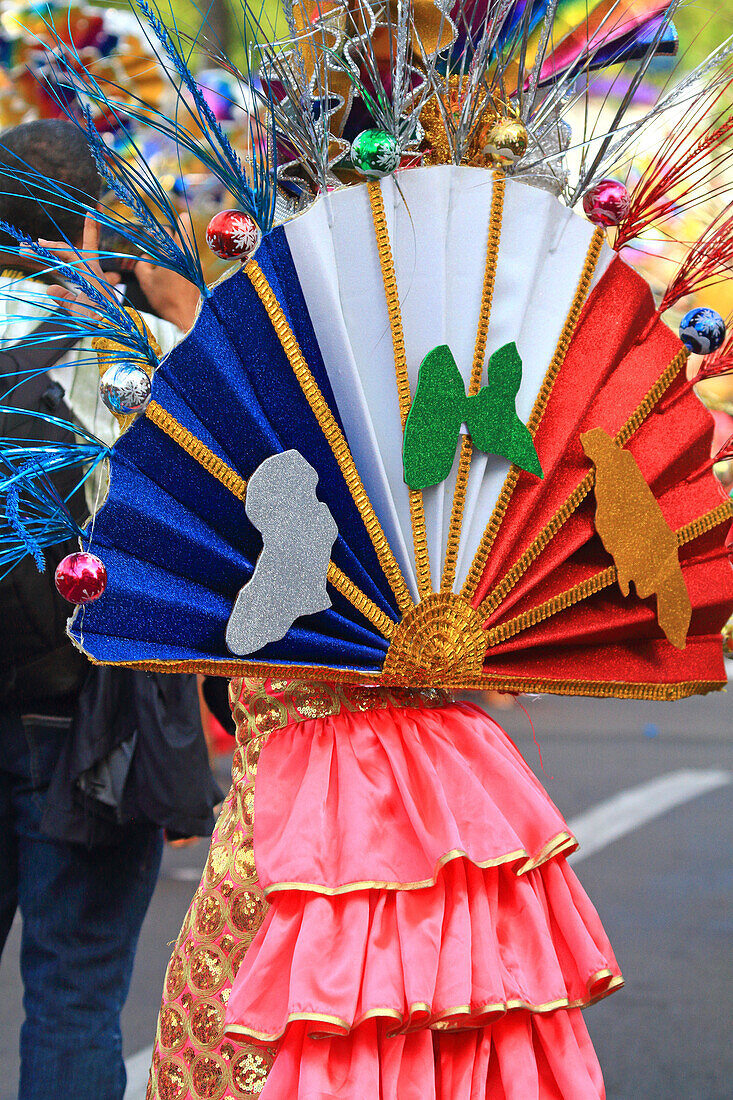 Frankreich,Guadeloupe,Basse-Terre,carnaval